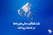 علت شفافیت مالی هزینه‌ها در خدمات پرداخت 